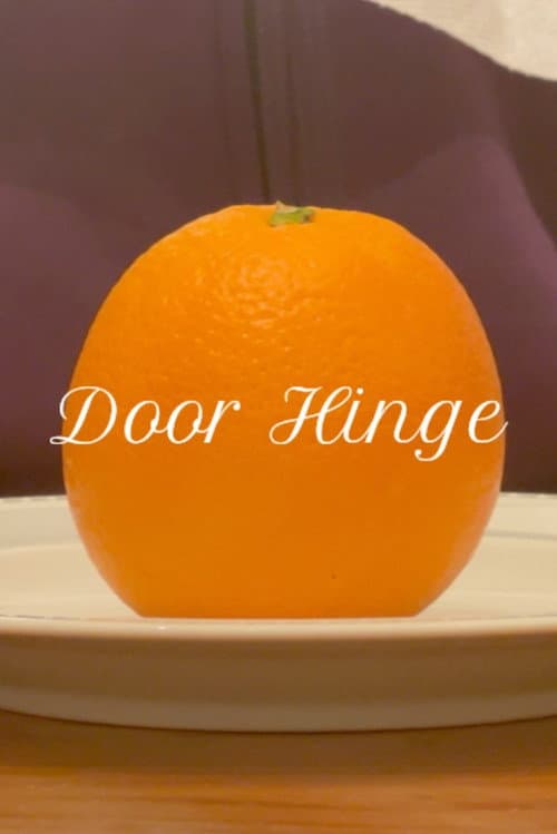Door Hinge poster