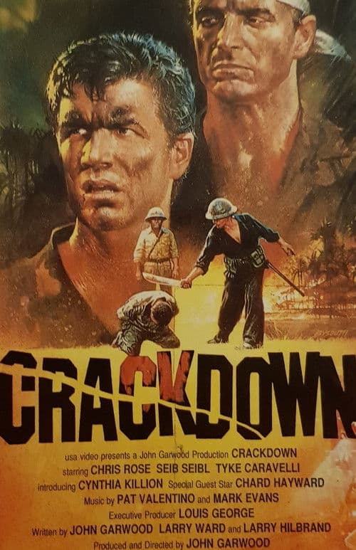 Crackdown poster