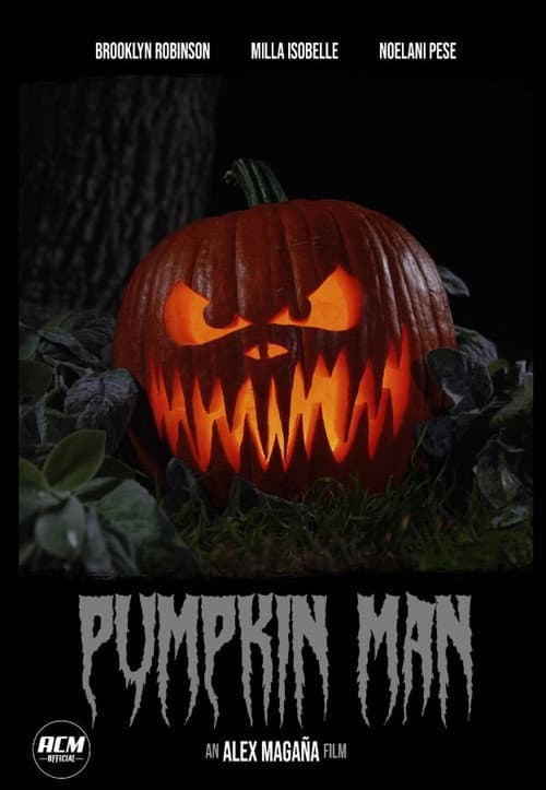 Pumpkin Man poster