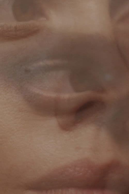 The Past Is a Foreign Country poster