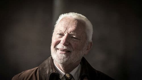 Martin Luther: Pouhou vírou poster