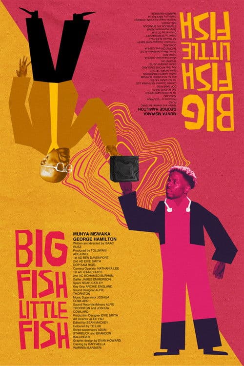 Big Fish Little Fish poster