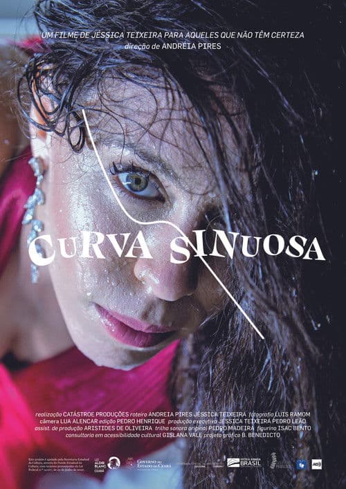 Curva Sinuosa poster