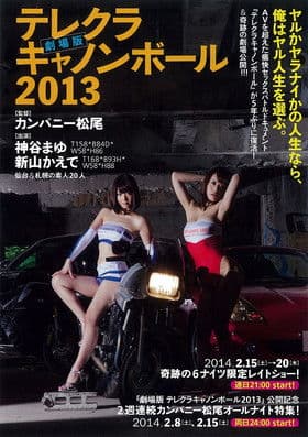 The Sex Cannon Ball Run 2013 poster