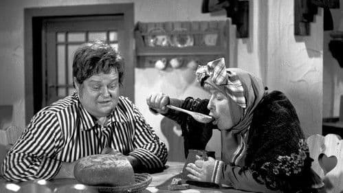 O Bumbrlíčkovi poster