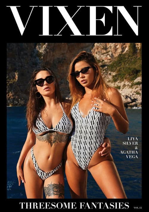 Threesome Fantasies 12 poster