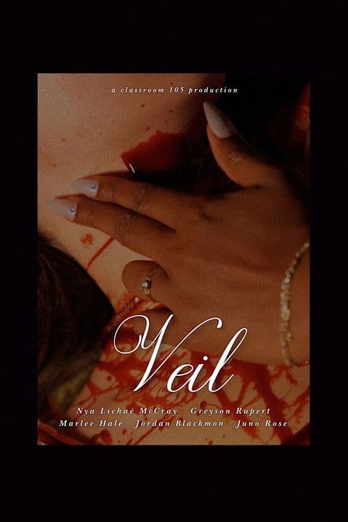 Veil poster