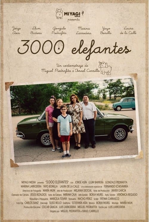 3000 elefantes poster