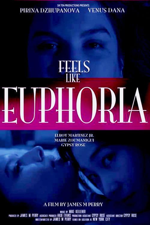 Feels Like Euphoria poster