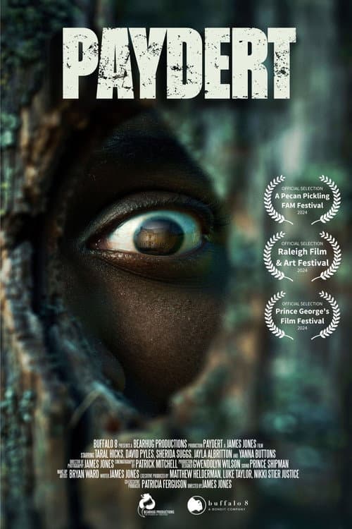 Paydert poster