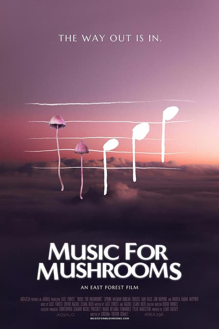 Music for Mushrooms poster
