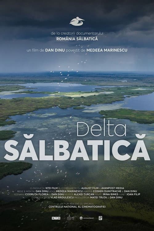 Wild Delta poster