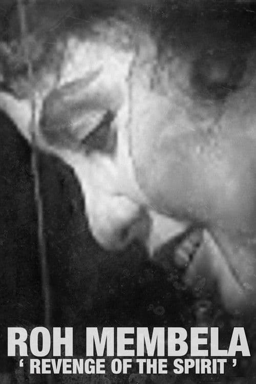 Revenge of the Spirit poster