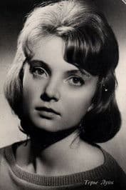 Terje Luik profile photo