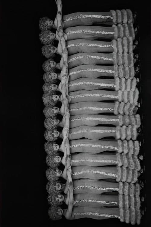 Les Jackson's Girls profile photo