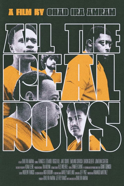 All the Real Boys poster