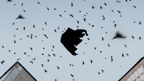 Camouflage poster