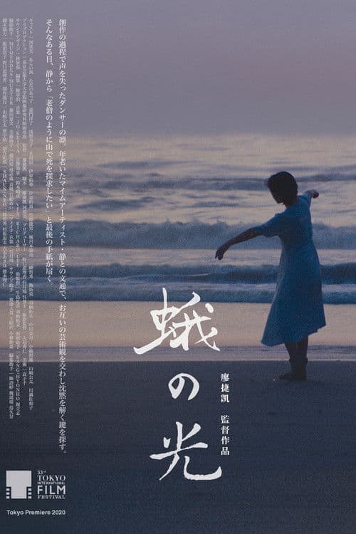 Light of a Burning Moth poster