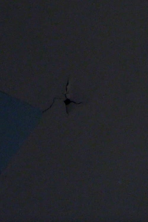 Bad Frequencies poster