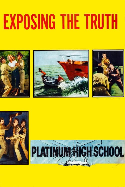 Platinum High School poster