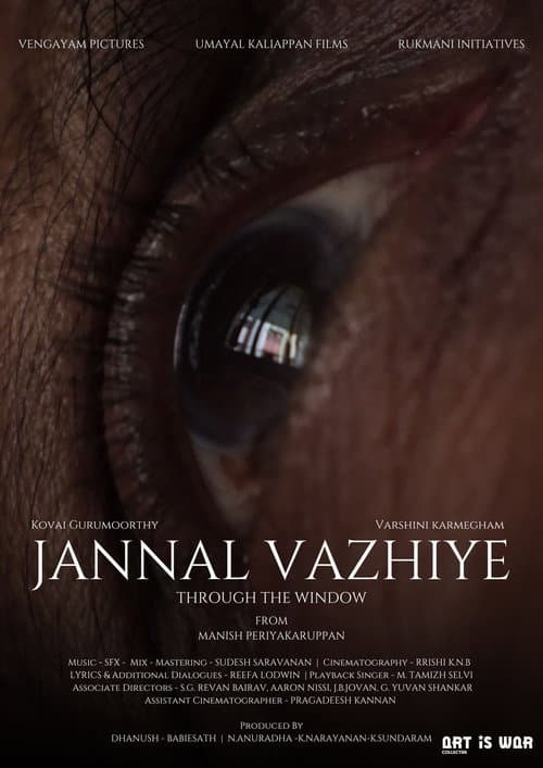 Through the window poster