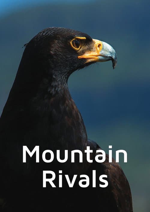 Mountain Rivals poster