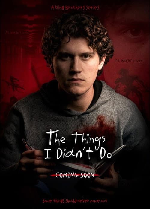 The Things I Didn't Do poster