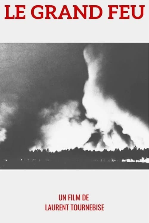 1949 : le Grand feu poster