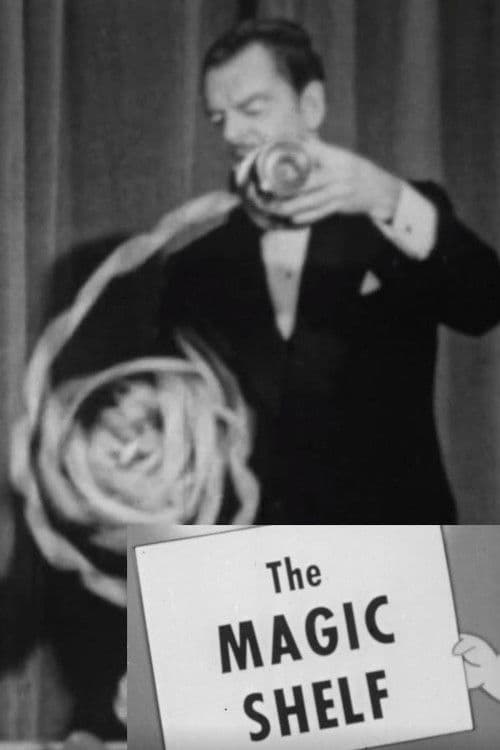 The Magic Shelf poster