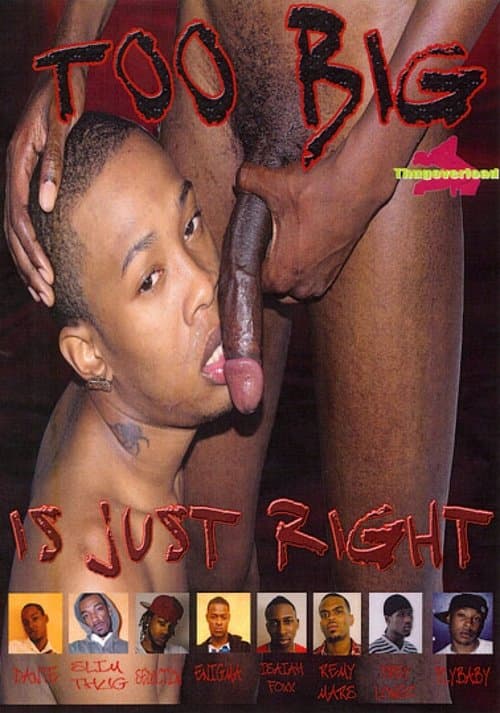 Too Big Is Just Right poster