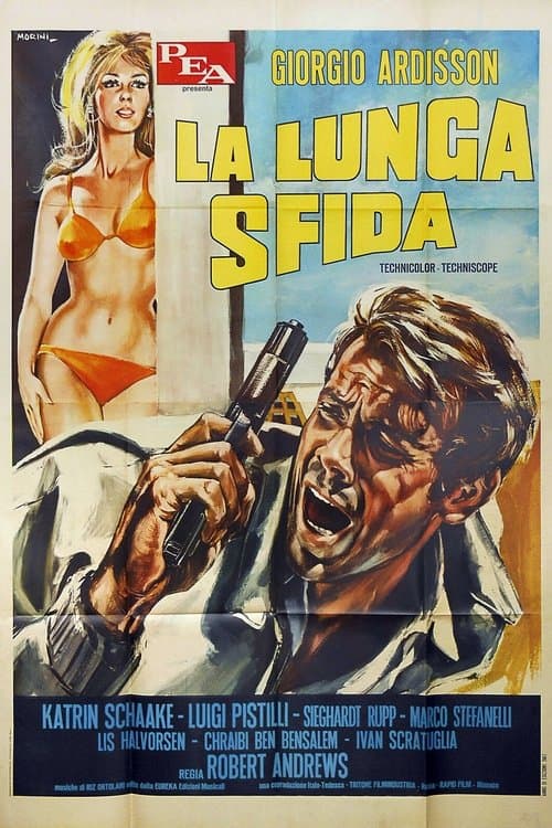 La lunga sfida poster