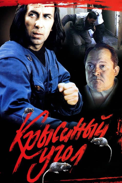 Rats Corner poster