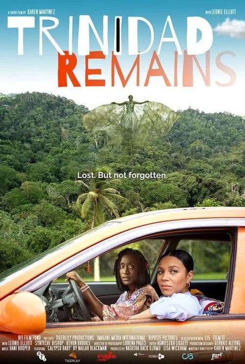 Trinidad Remains poster