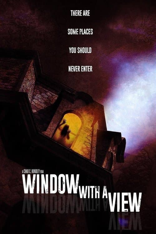Window With A View poster