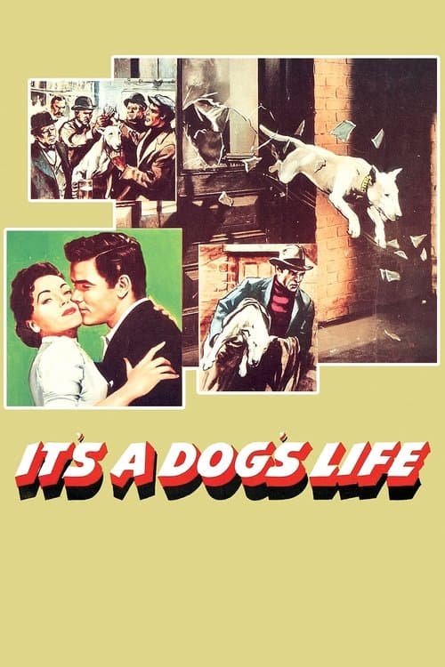 It's a Dog's Life poster