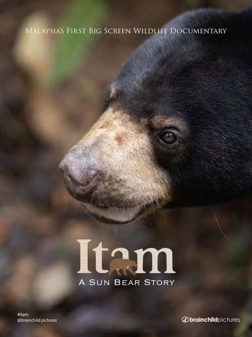 Itam: A Sun Bear Story poster