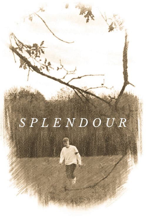 Splendour poster