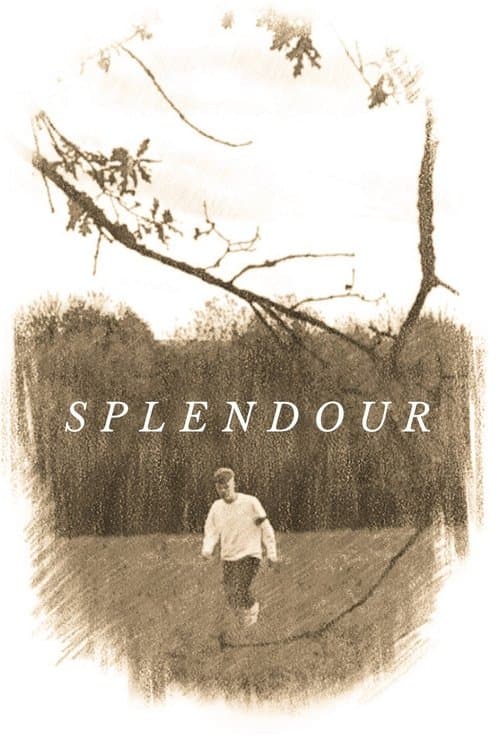 Splendour poster