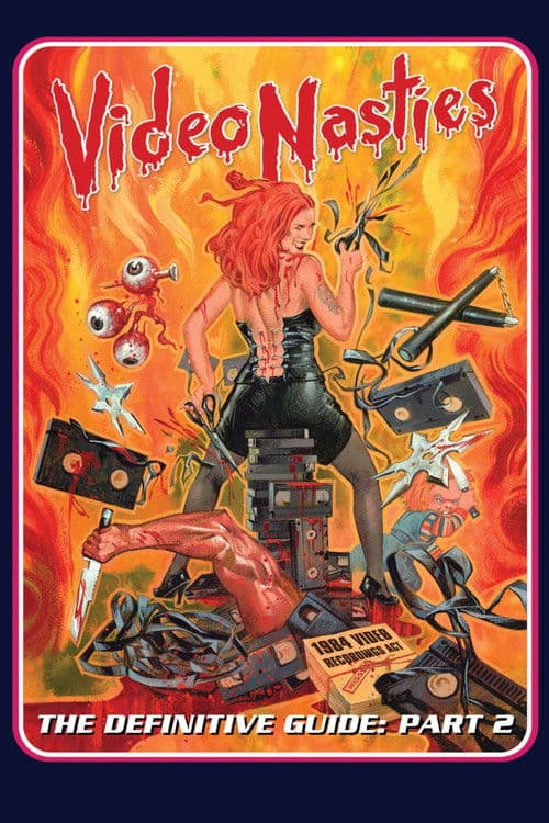 Video Nasties - The Definitive Guide Part 2 - The Section 3 List M-Z poster