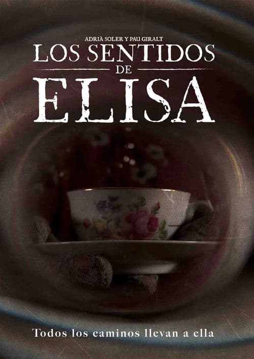 Los Sentidos de Elisa poster
