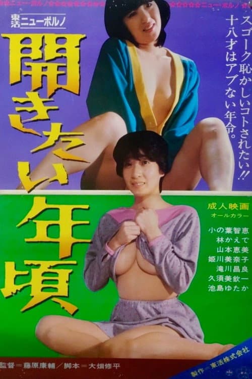 Hirakitai toshi-goro poster