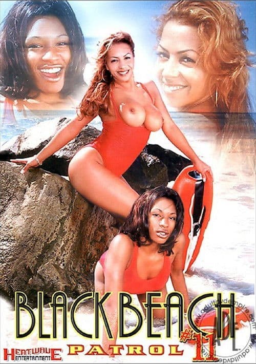 Black Beach Patrol 11 poster