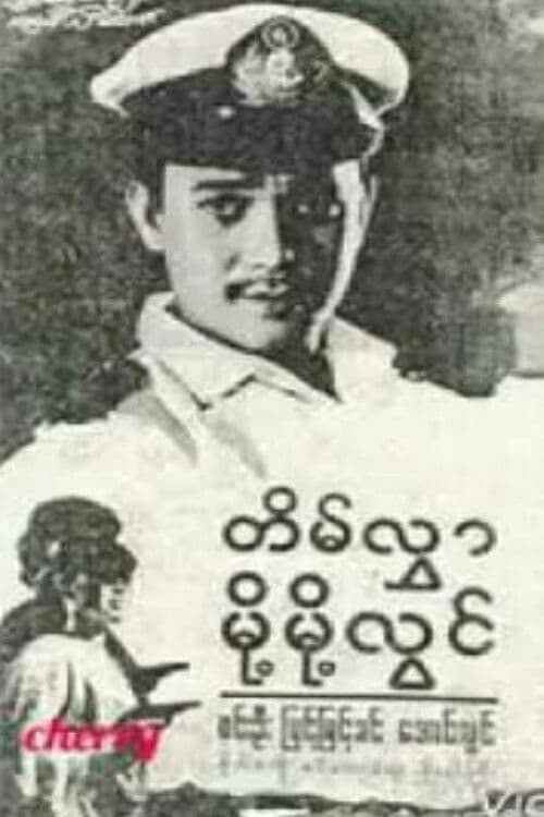 Tein Hlwar Moht Moht Lwin poster