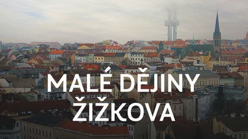 Malé dějiny Žižkova poster