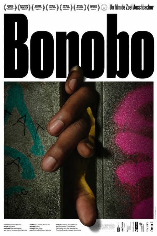 Bonobo poster