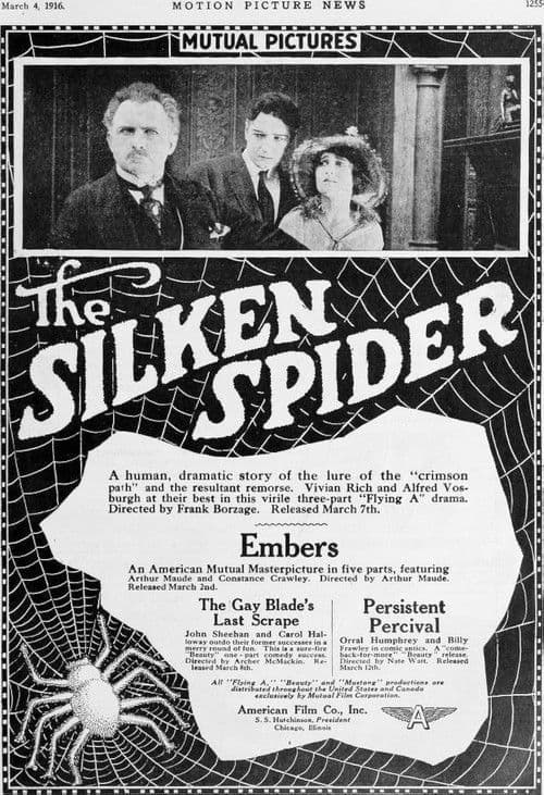 The Silken Spider poster