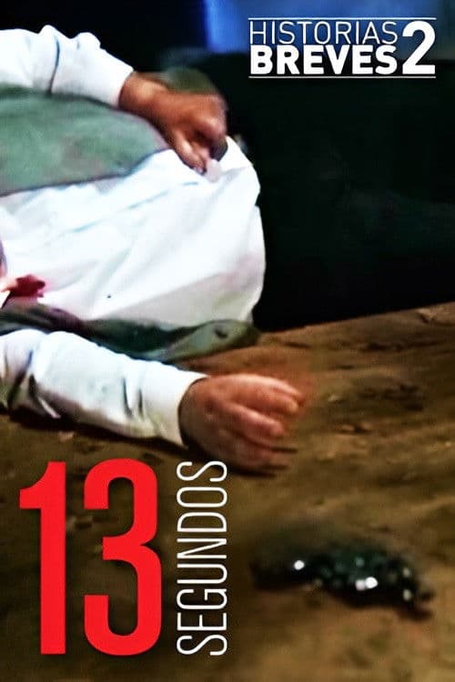 Historias Breves II: Trece Segundos poster