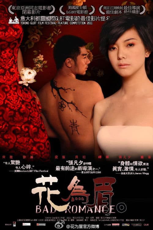 Bad Romance poster