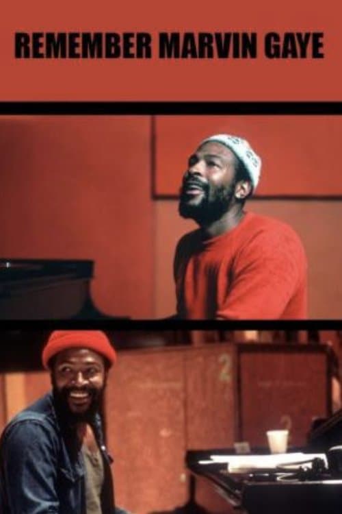 Remember Marvin Gaye poster