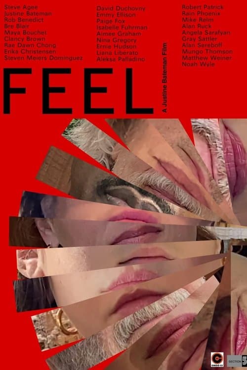 FEEL poster